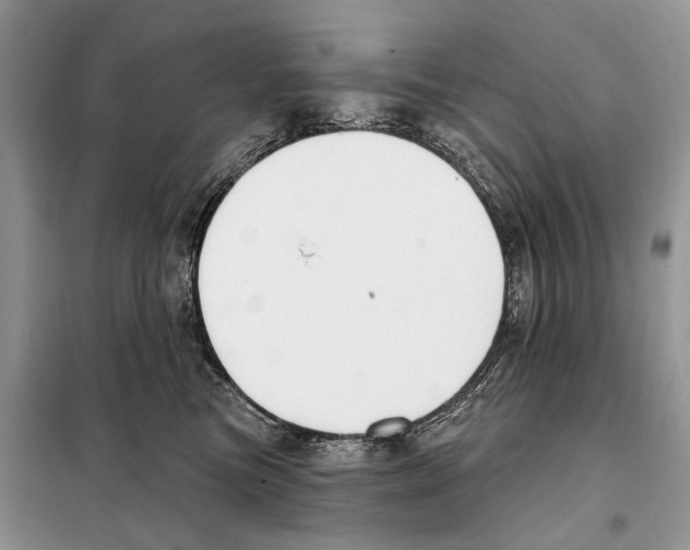 X0000098090473200805021050