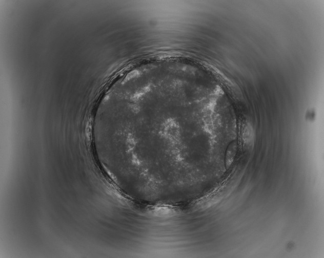 X0000098090475200805021050