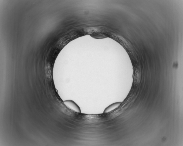 X0000098090477200805021050