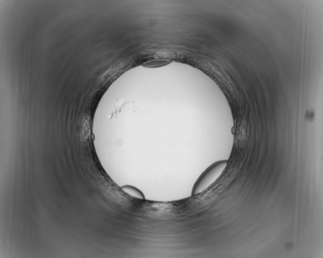 X0000098090478200805021050