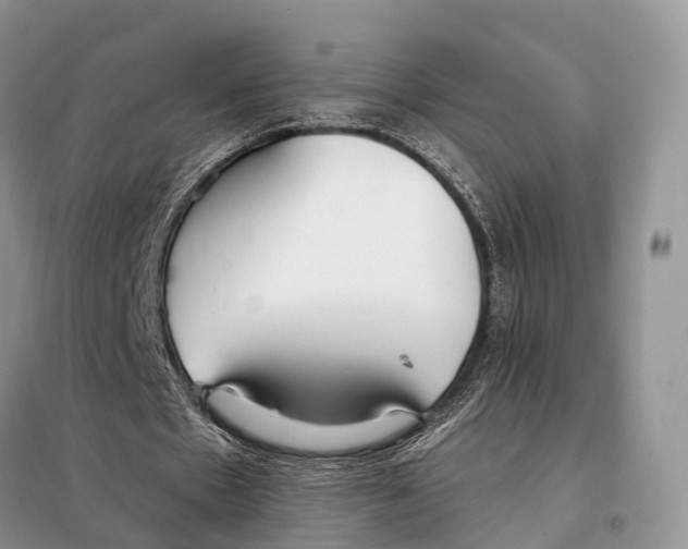 X0000098090481200805021049