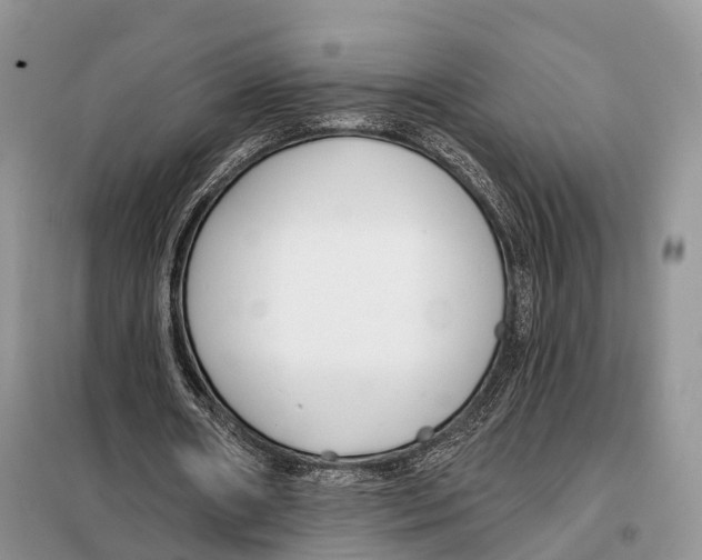 X0000098090482200805021049