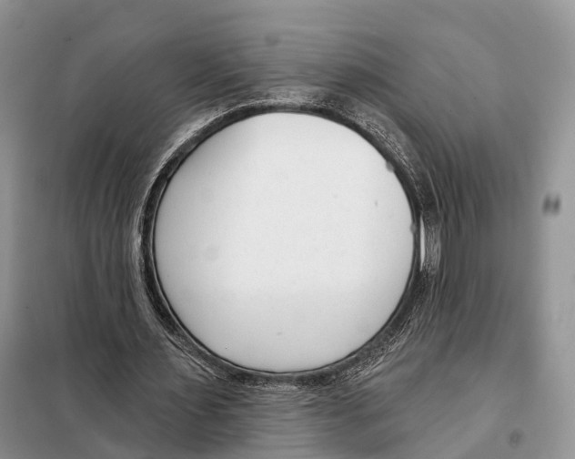 X0000098090483200805021049