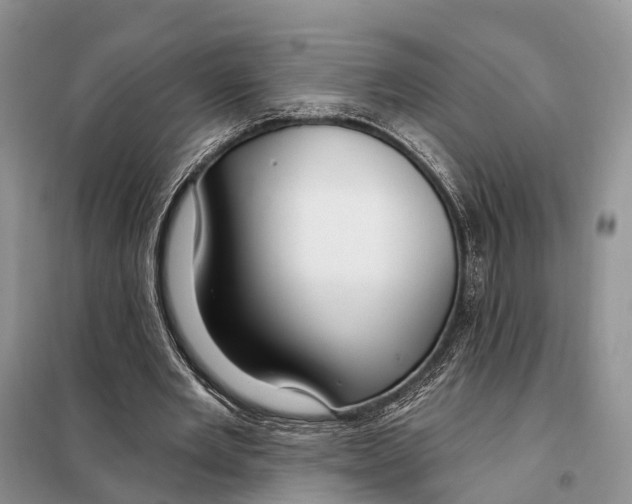 X0000098090485200805021049