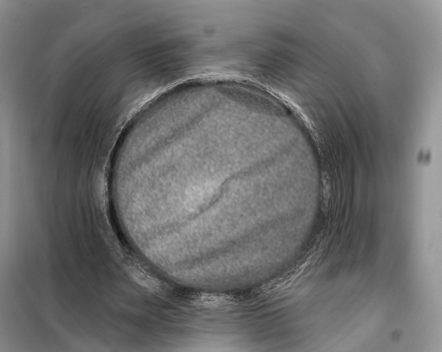 X0000098090487200805021049