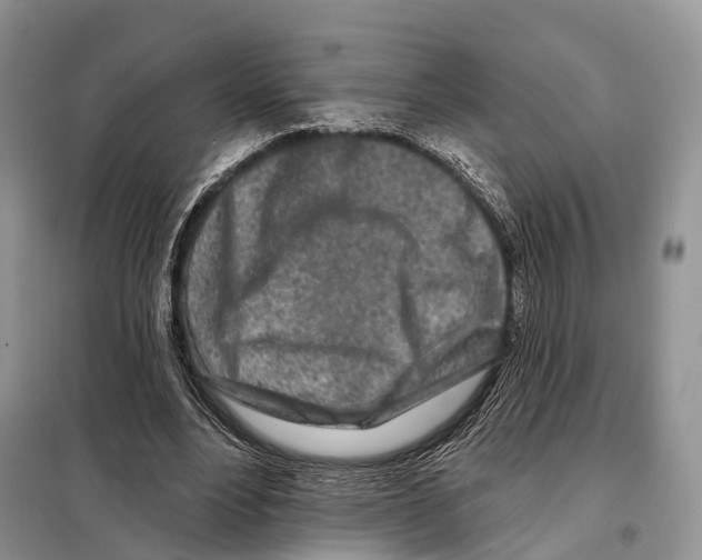 X0000098090488200805021049