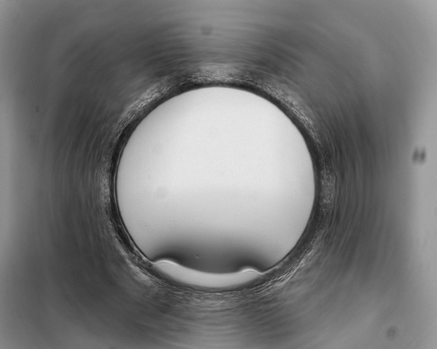 X0000098090489200805021049