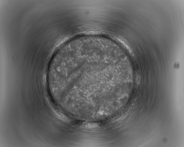 X0000098090491200805021049