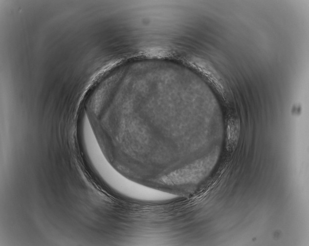 X0000098090492200805021049