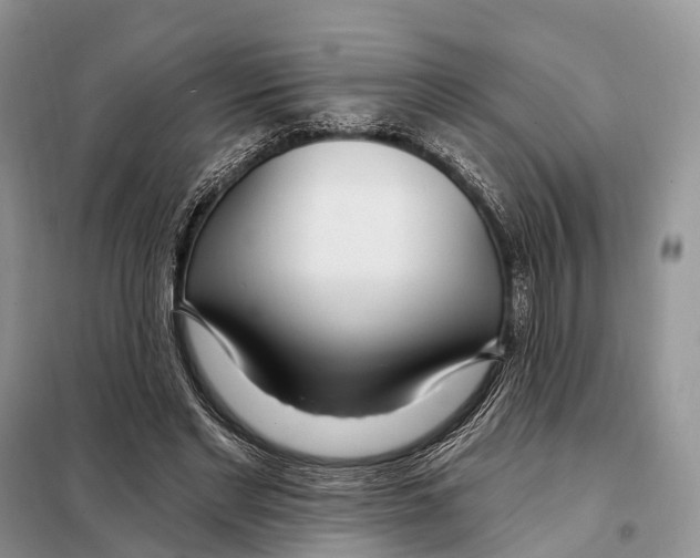 X0000098090493200805021049