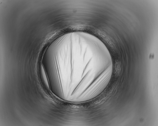 X0000098090494200805021049