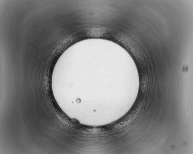 X0000098090497200805021049