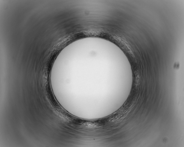 X0000098090498200805021049