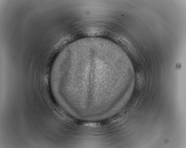 X0000098090499200805021049