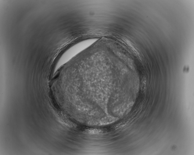 X0000098090500200805021049