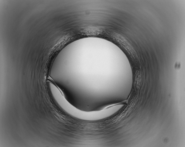 X0000098090501200805021049