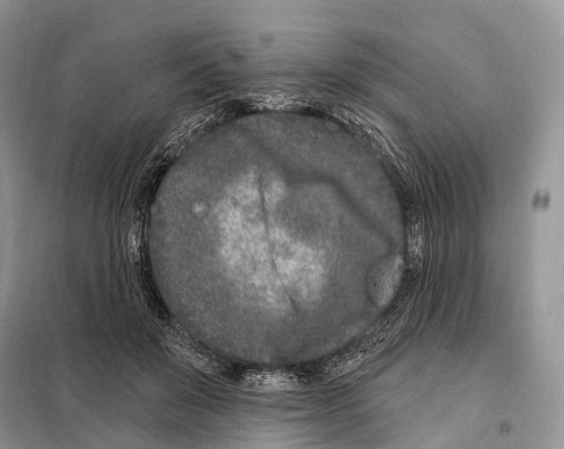 X0000098090503200805021049