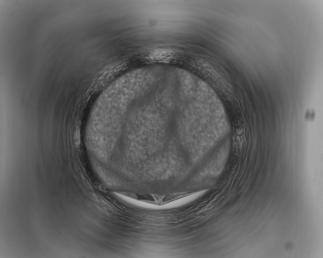 X0000098090504200805021049