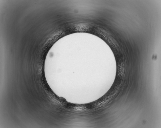 X0000098090505200805021049