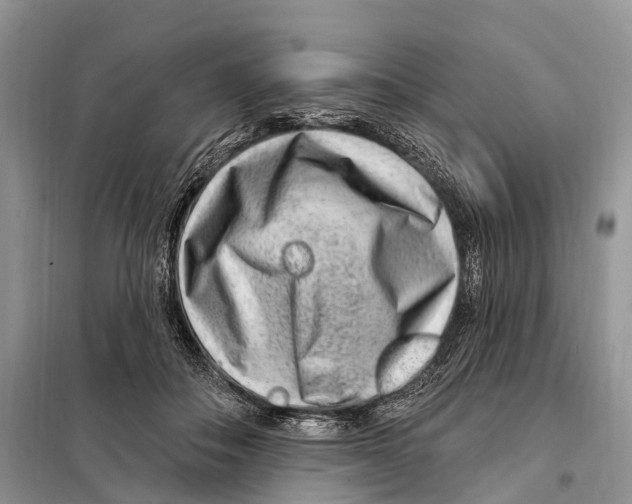 X0000098090506200805021049