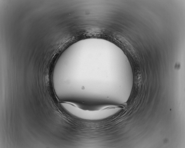 X0000098090508200805021049