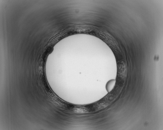 X0000098090510200805021049