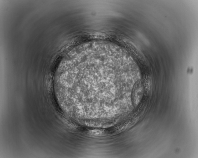 X0000098090511200805021049