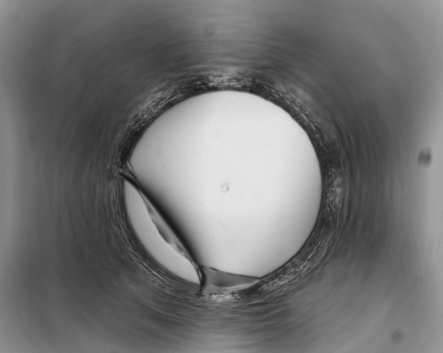 X0000098090513200805021049