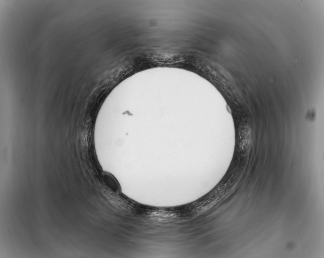 X0000098090515200805021049