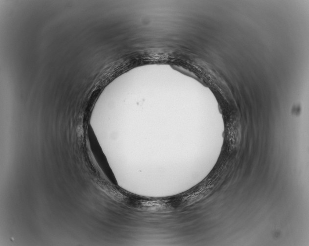 X0000098090516200805021049