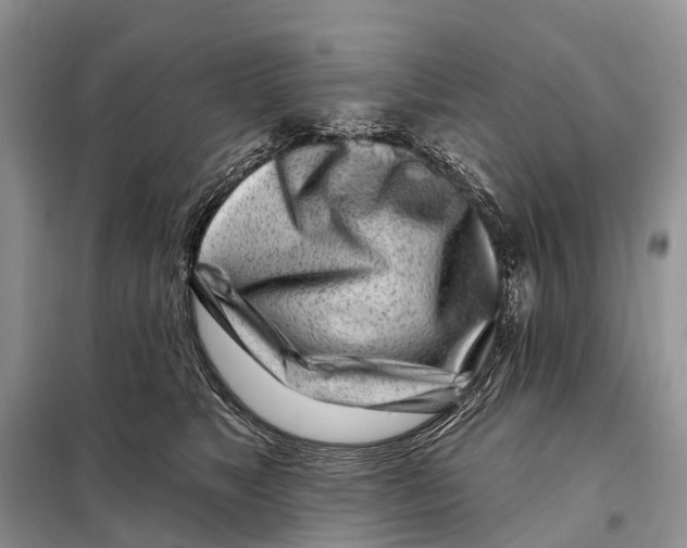 X0000098090517200805021049