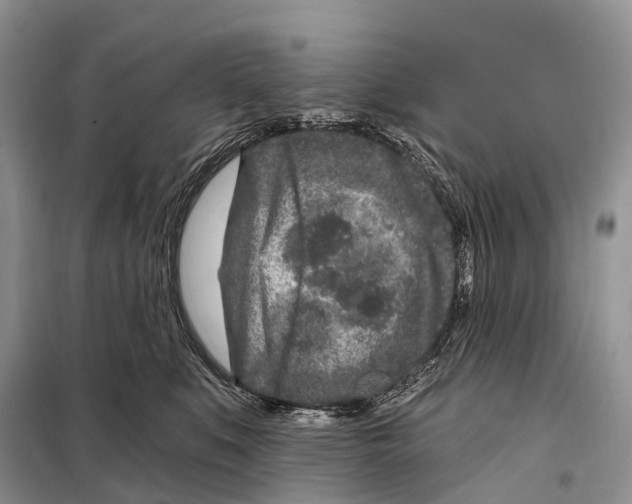 X0000098090519200805021049