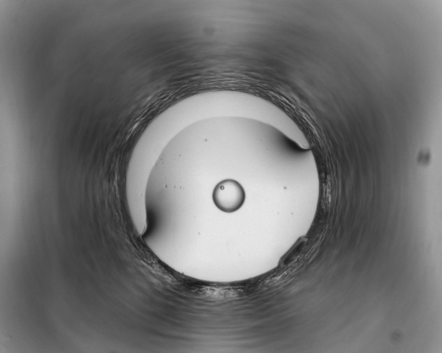 X0000098090520200805021049