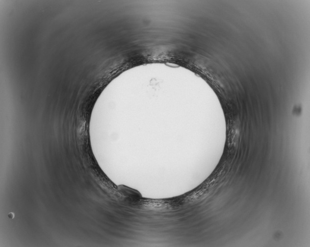 X0000098090521200805021049