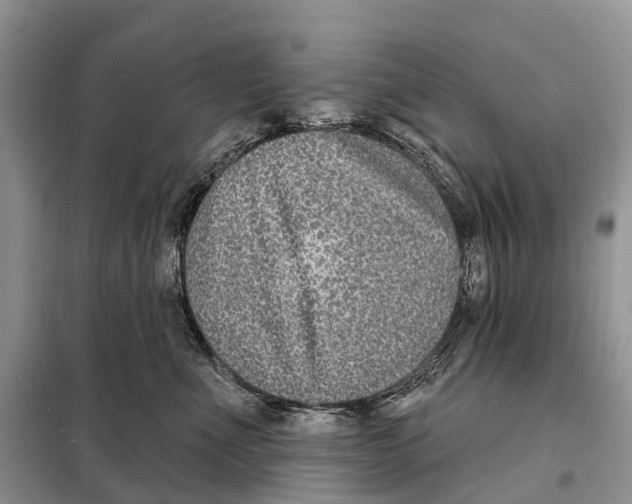 X0000098090523200805021049