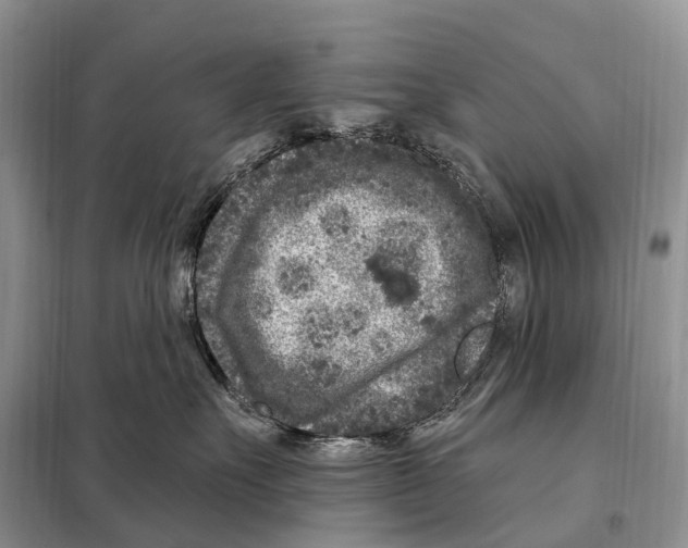 X0000098090527200805021048