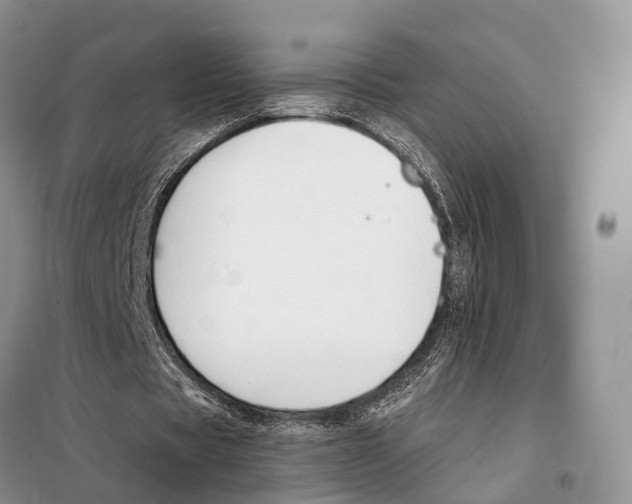 X0000098090529200805021048