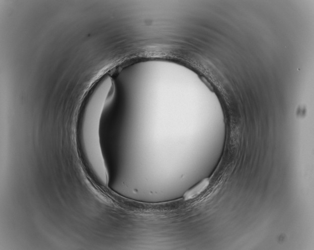 X0000098090530200805021048