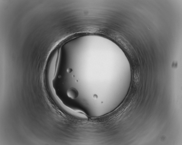 X0000098090532200805021048