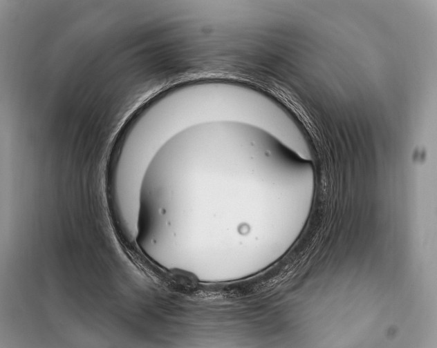 X0000098090534200805021048