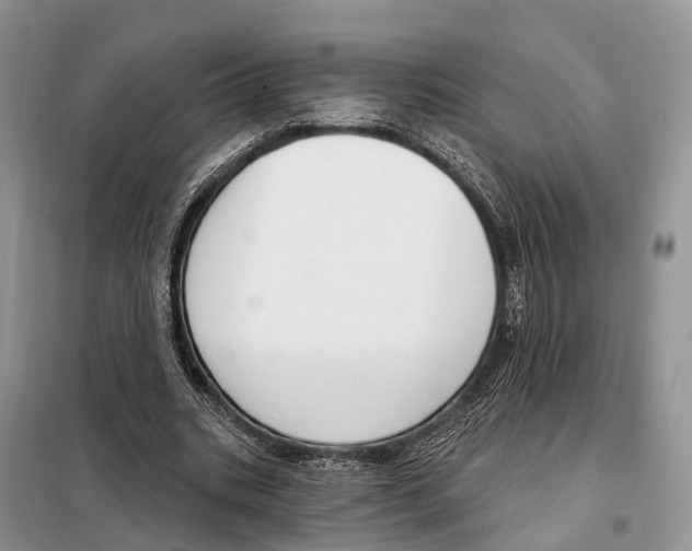 X0000098090535200805021048