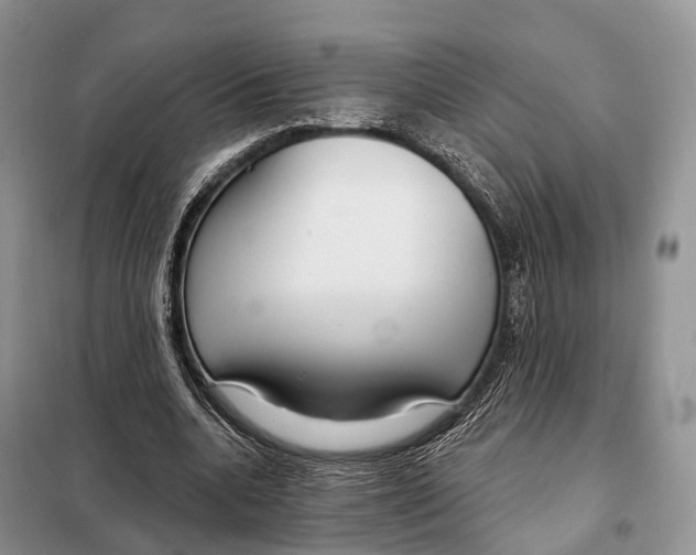 X0000098090536200805021048