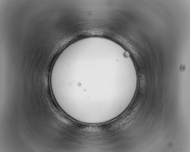 X0000098090537200805021048