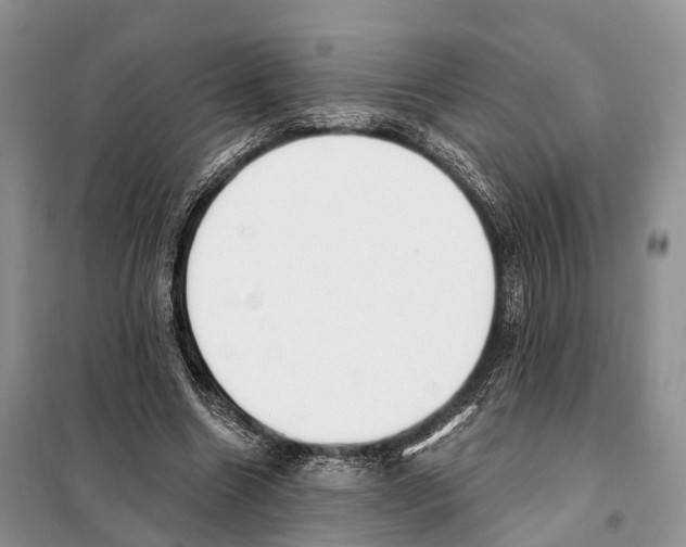 X0000098090538200805021048