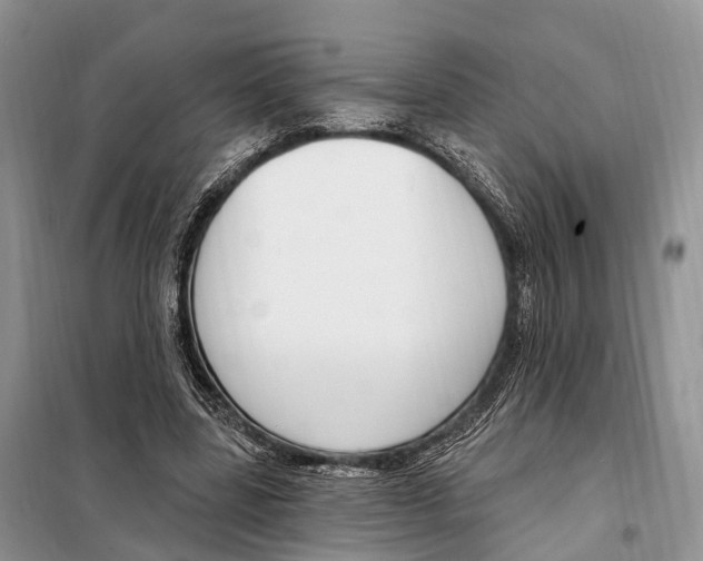 X0000098090539200805021048