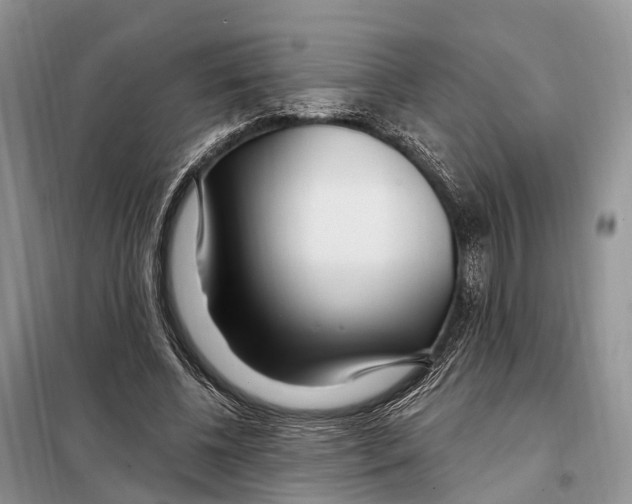 X0000098090540200805021048