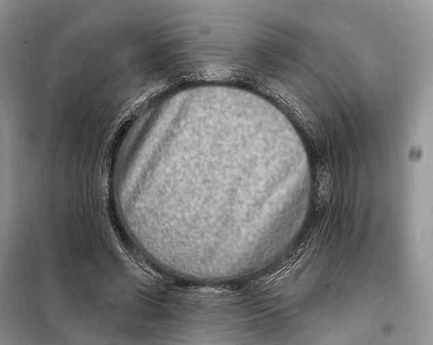 X0000098090542200805021048