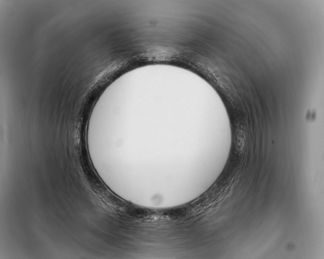 X0000098090543200805021048