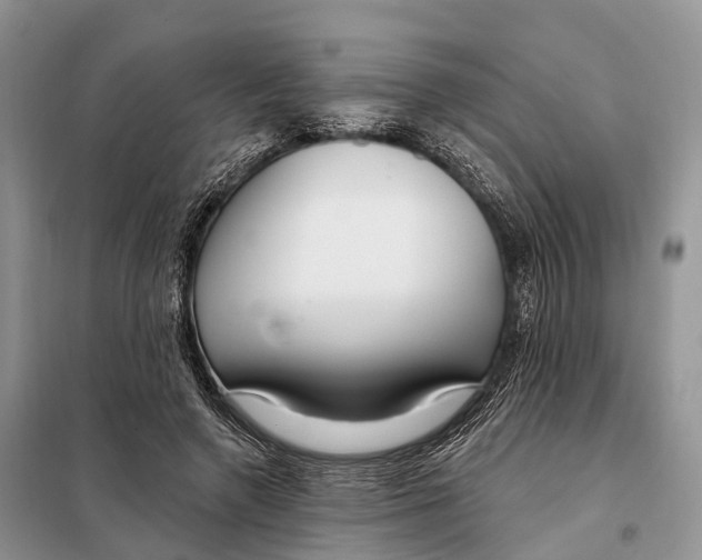 X0000098090546200805021048