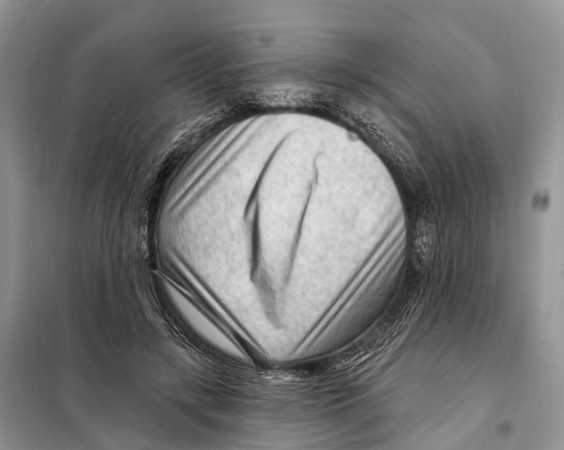 X0000098090547200805021048